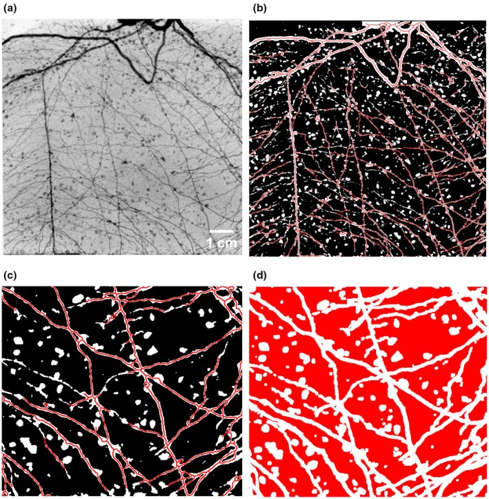 Fig. 2