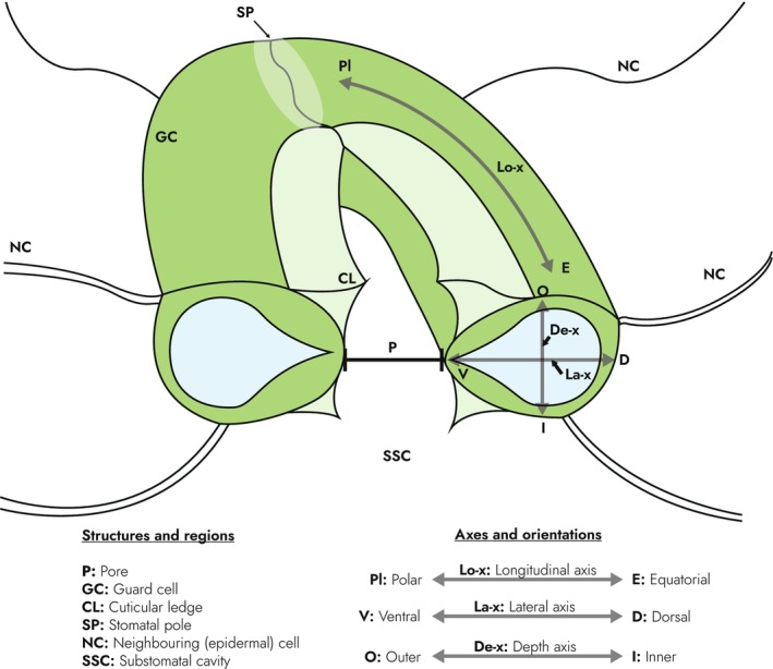 Fig. 3