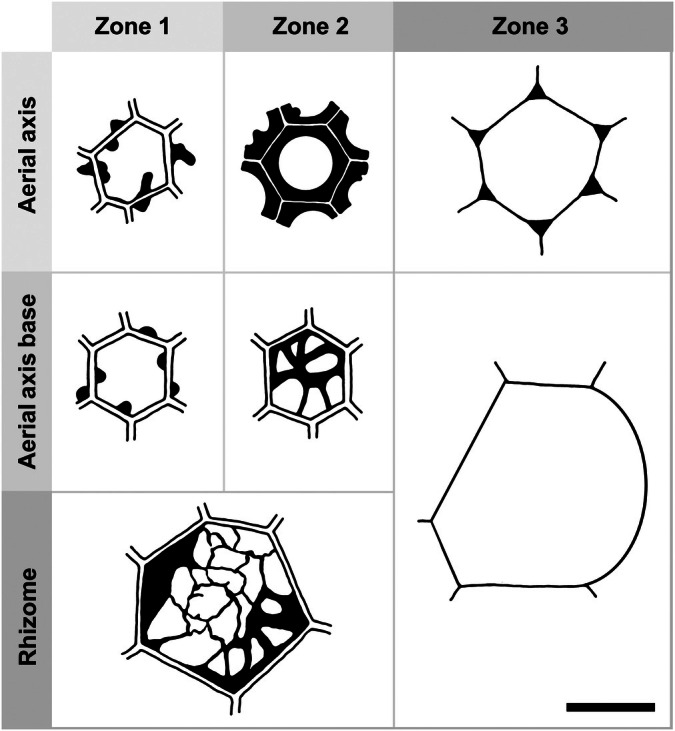 Fig. 8