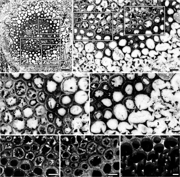 Fig. 7