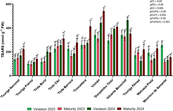 Figure 2