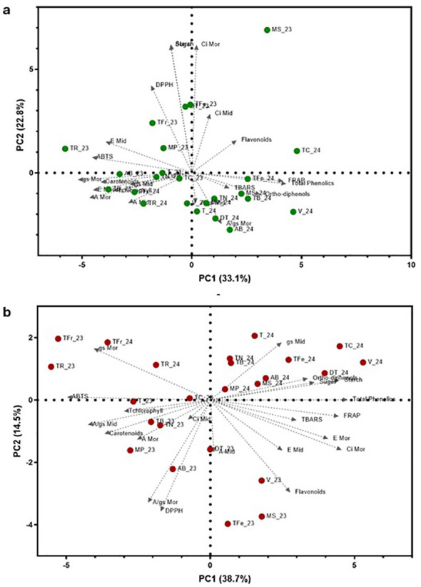 Figure 12