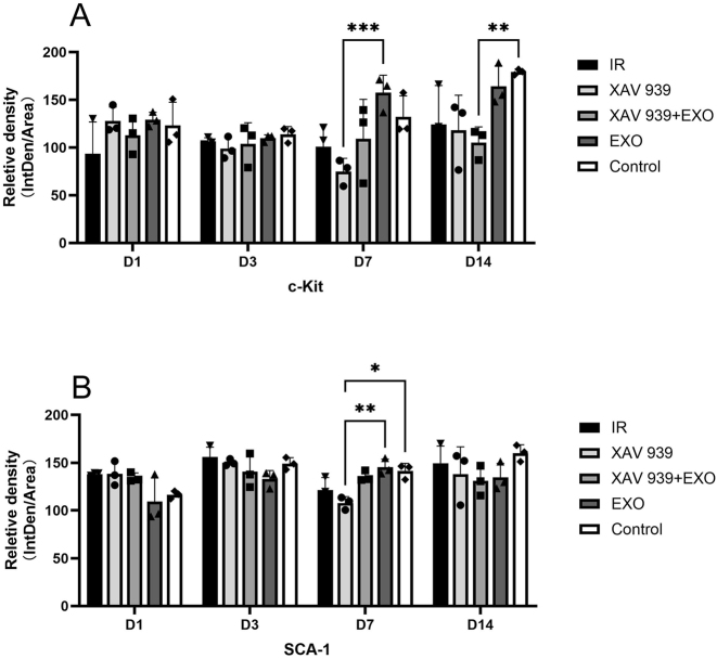 Figure 5