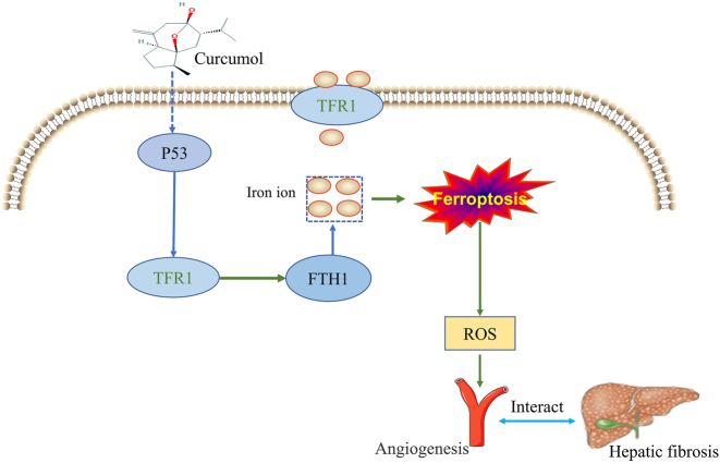 Figure 6