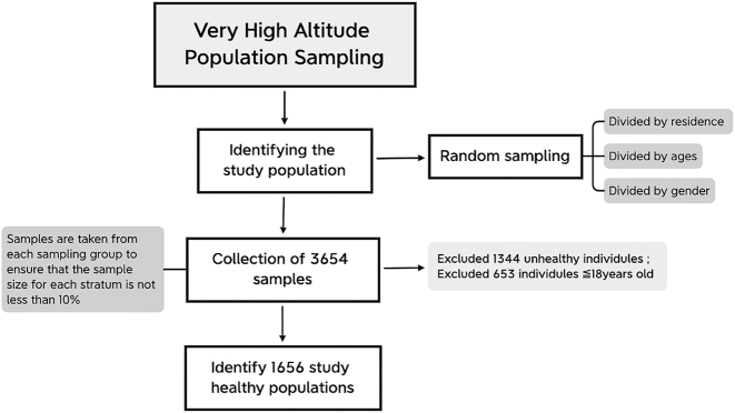 Figure 1