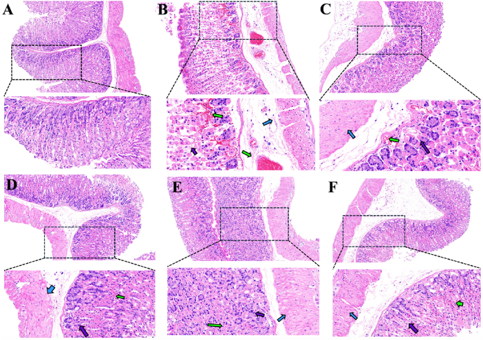 Figure 3