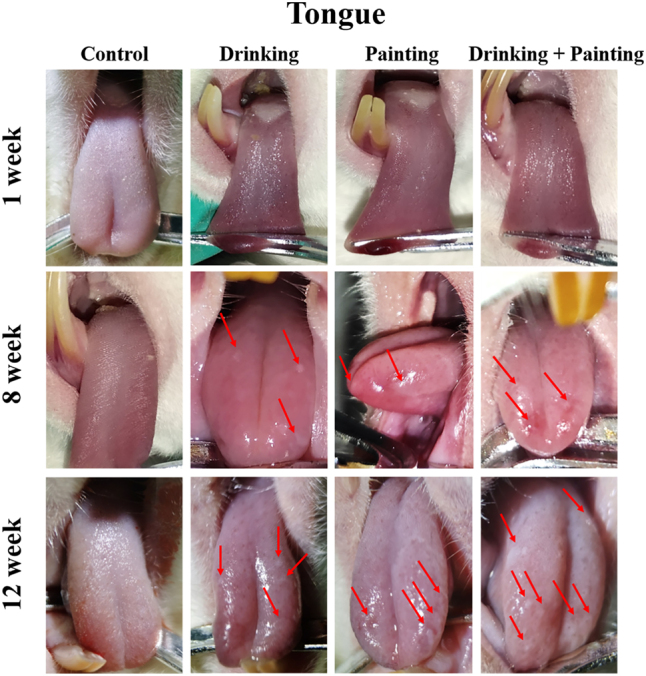 Figure 2