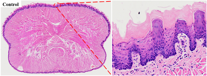 Figure 4