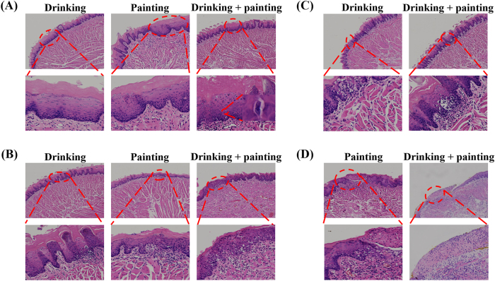 Figure 5
