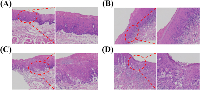 Figure 7
