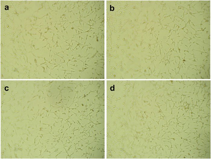 Figure 10