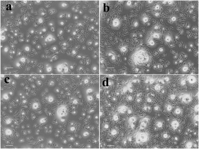 Figure 12