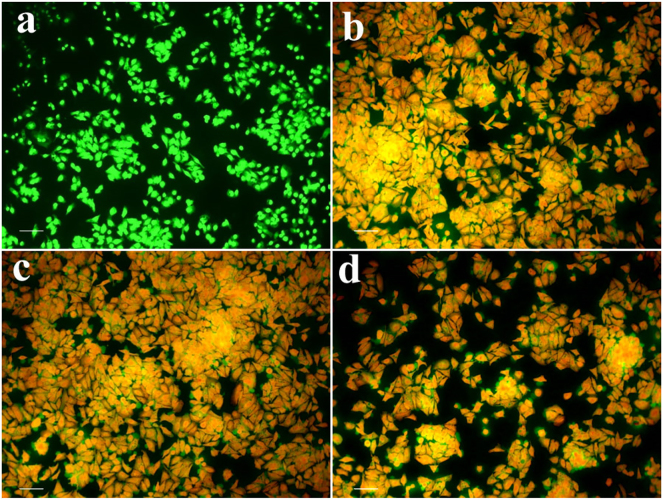 Figure 13