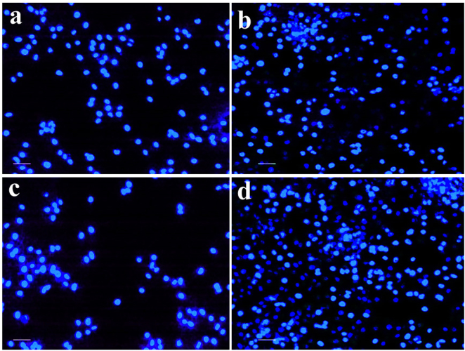 Figure 14