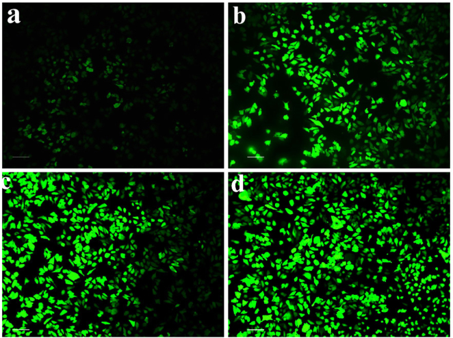 Figure 15