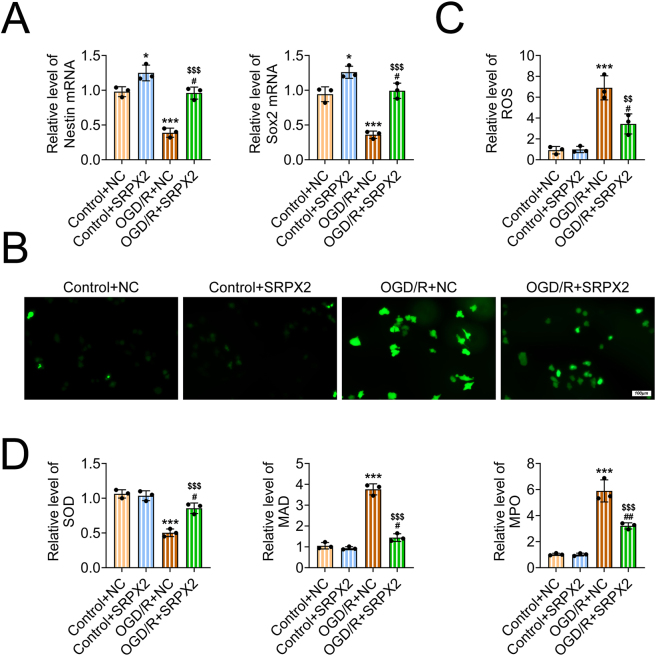 Figure 3
