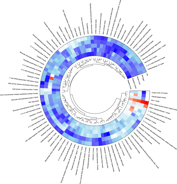Figure 1