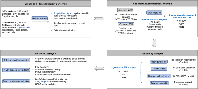 Figure 1