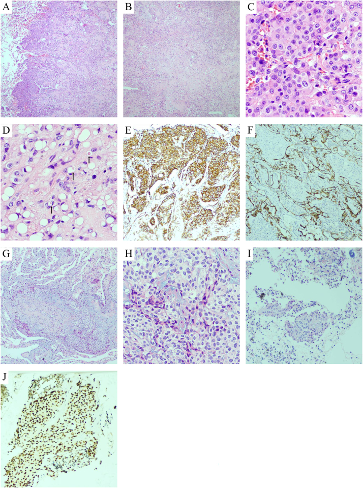 Figure 2