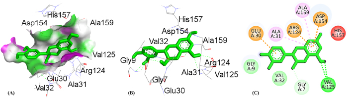 Figure 7
