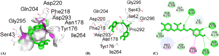 Figure 9