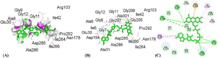 Figure 10