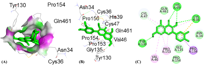 Figure 12