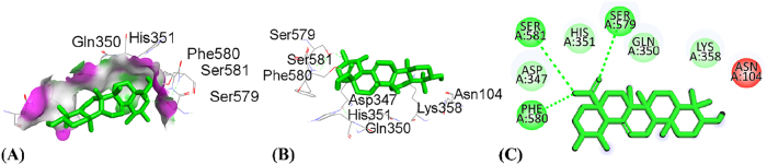 Figure 13