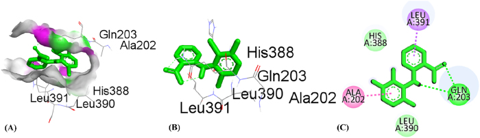 Figure 14
