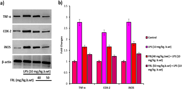 Figure 4