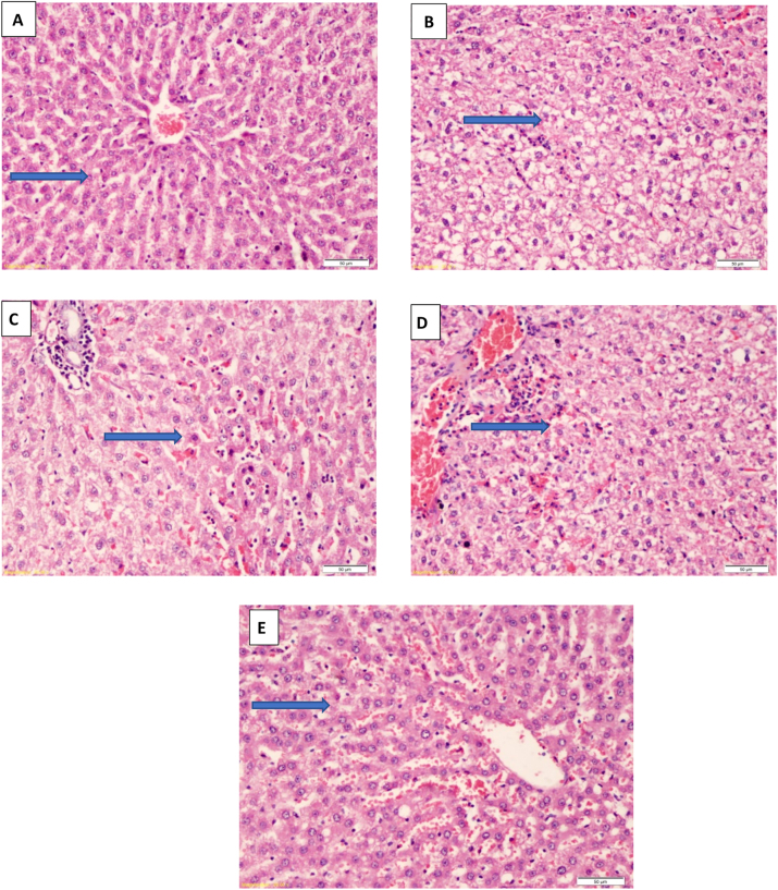 Figure 4