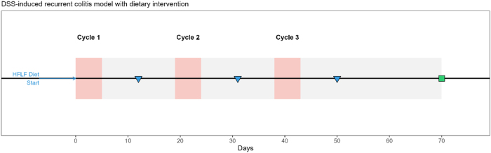 Figure 1