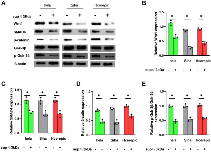 Figure 4