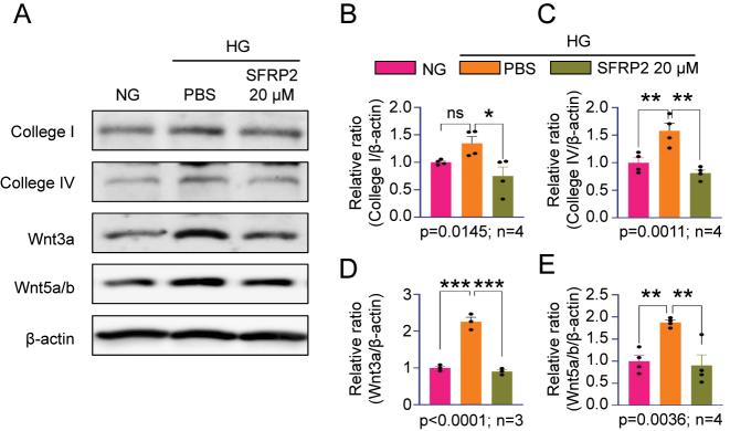 Figure 4