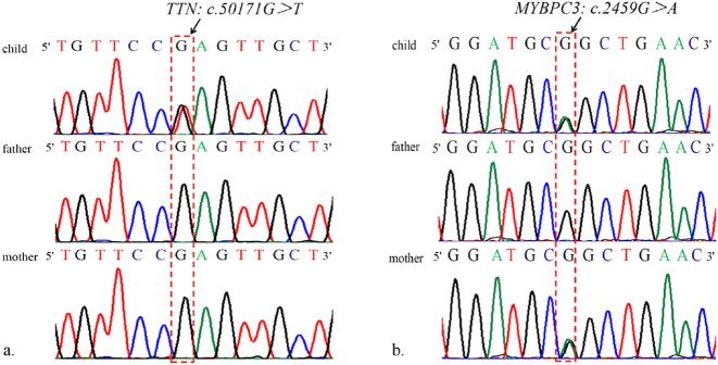 Figure 3
