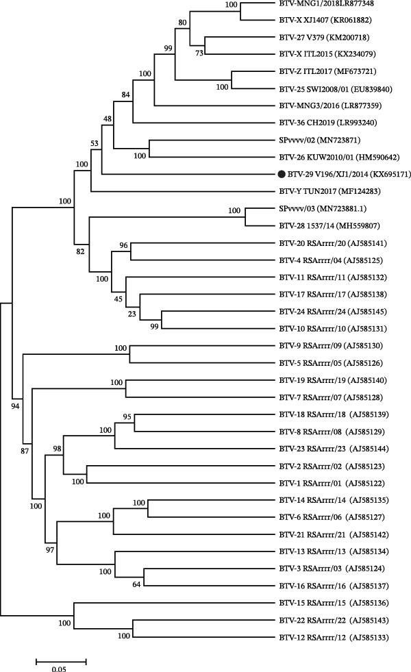 Figure 4