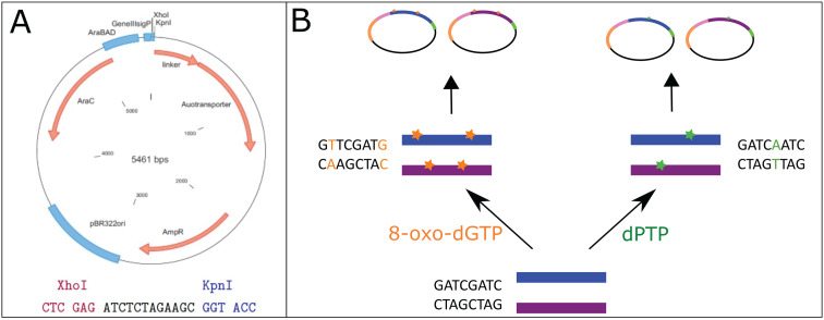 Fig. 3