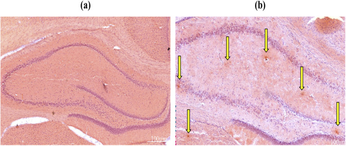 Fig. 9
