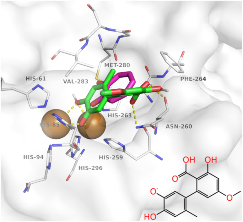 Fig. 1