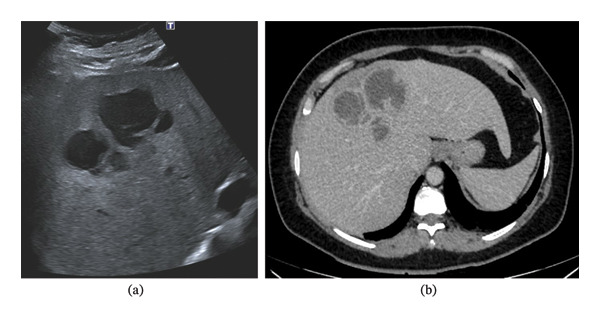FIGURE 1