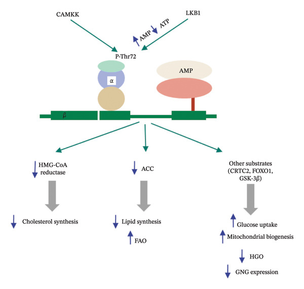 FIGURE 2
