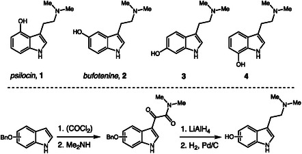SCHEME 1