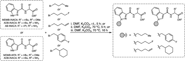 SCHEME 10
