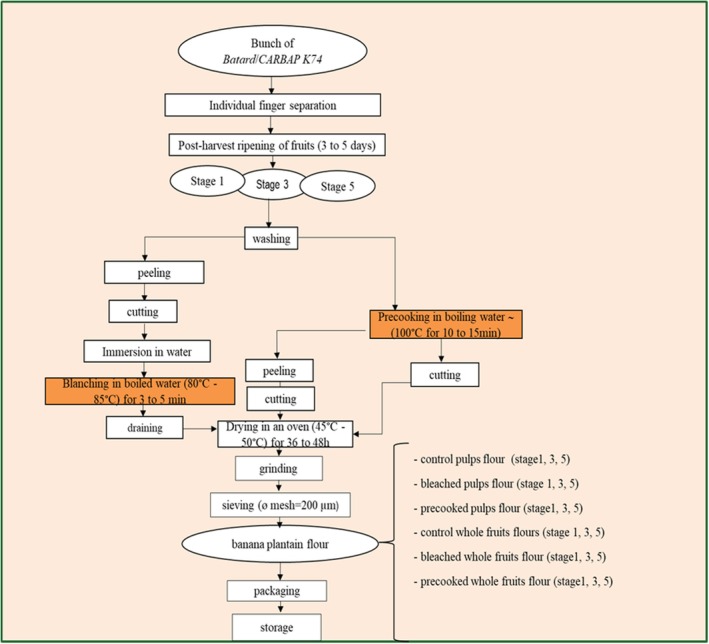 FIGURE 4