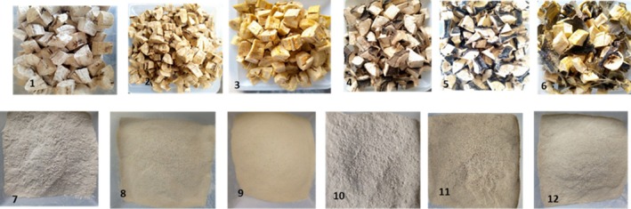 FIGURE 3