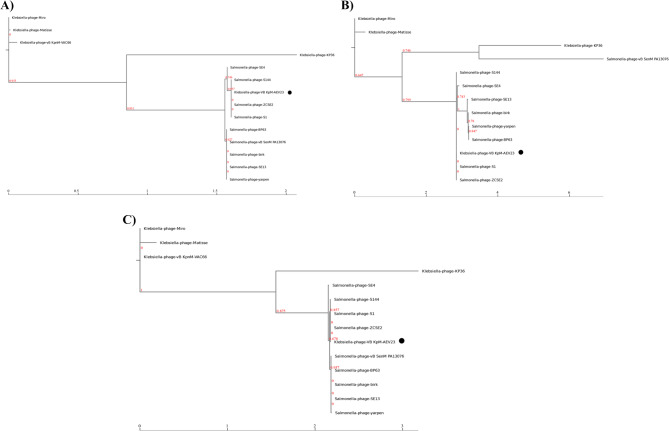Figure 11