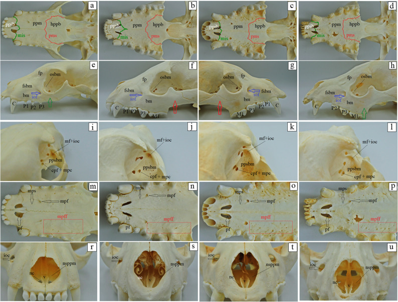 Figure 12