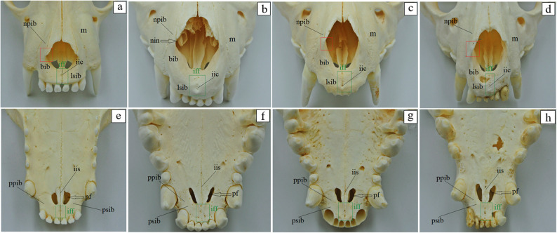Figure 13