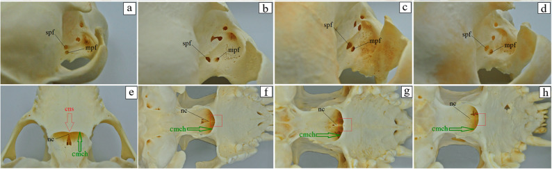 Figure 14