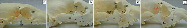 Figure 15